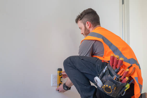 Best Electric Panel Repair  in Lake Don Pedro, CA